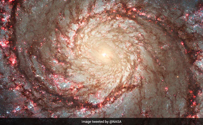 Die NASA teilt ein wunderschönes Bild der Wirbelgalaxie, das Internet sagt, dass „die Augen nicht abgelenkt werden können“