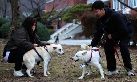 Gumi, links, und Songgang, in einem Park in Gwangju, Südkorea.